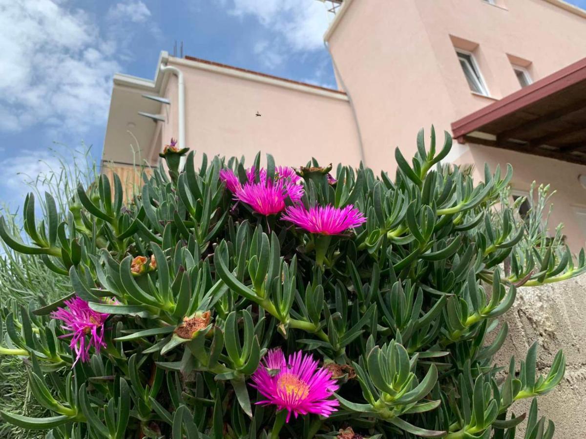Maison d'hôtes Bella Jaz